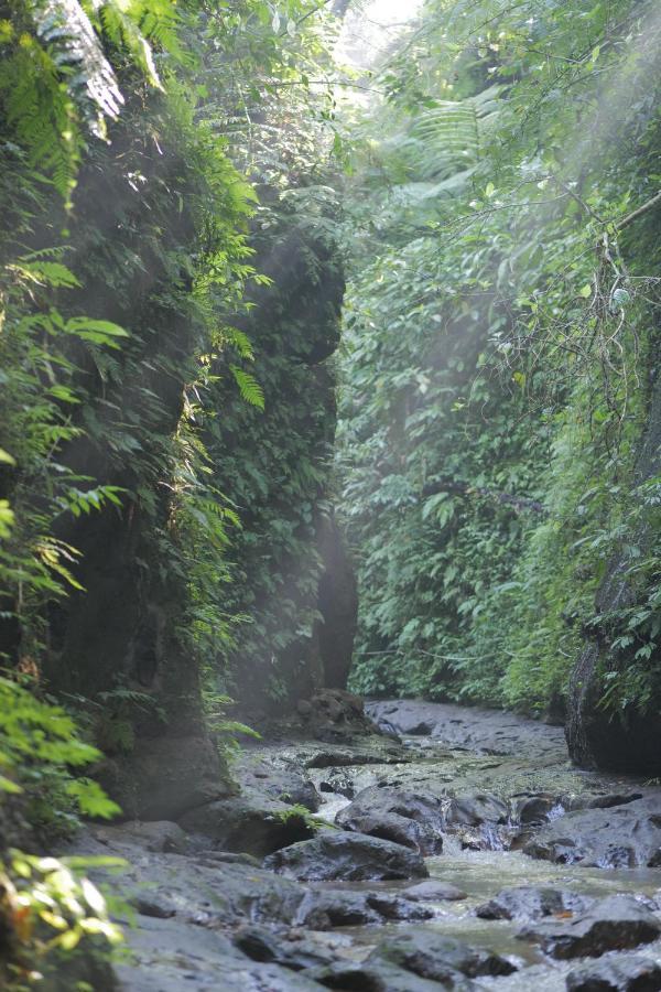 Pramana Giri Kusuma Hotel Payangan Buitenkant foto